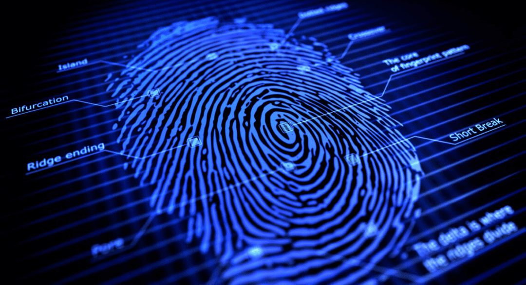 fingerprint