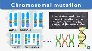 chromosomal mutation