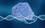 CRISPR technology